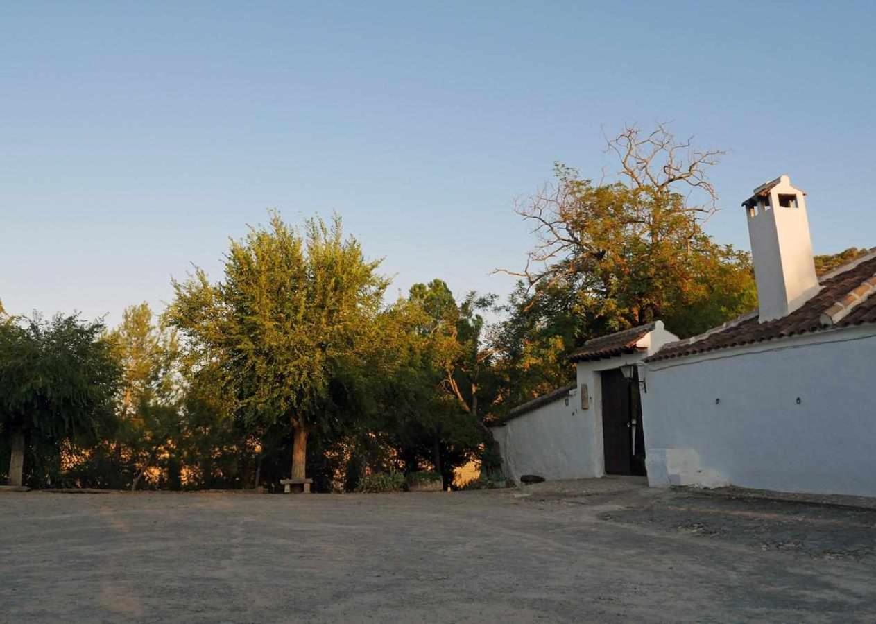 Cortijo La Gineta Guest House Alcala La Real Bagian luar foto